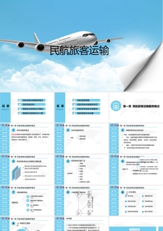 整套课件民航旅客运输