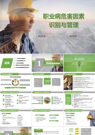 职业病危害因素识别及管理课件