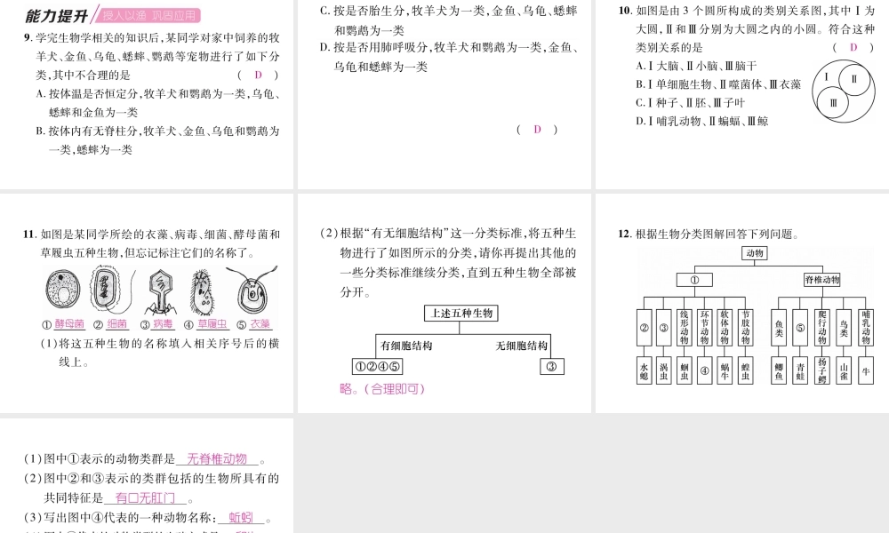 八年级生物上册 第6单元 第1章 第1节 尝试对生物进行分类（第2课时 动物的分类）练习课件 （新版）新人教版-（新版）新人教级上册生物课件