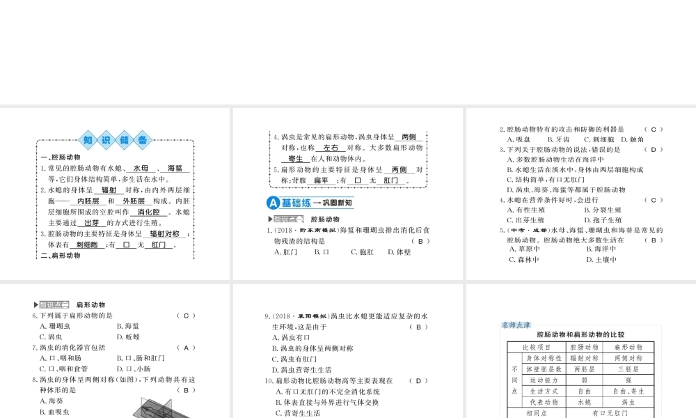 八年级生物上册 第五单元 第1章 第1节 腔肠动物和扁形动物习题课件 （新版）新人教版-（新版）新人教版初中八年级上册生物课件