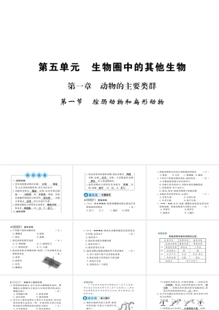 八年级生物上册 第五单元 第1章 第1节 腔肠动物和扁形动物习题课件 （新版）新人教版-（新版）新人教版初中八年级上册生物课件