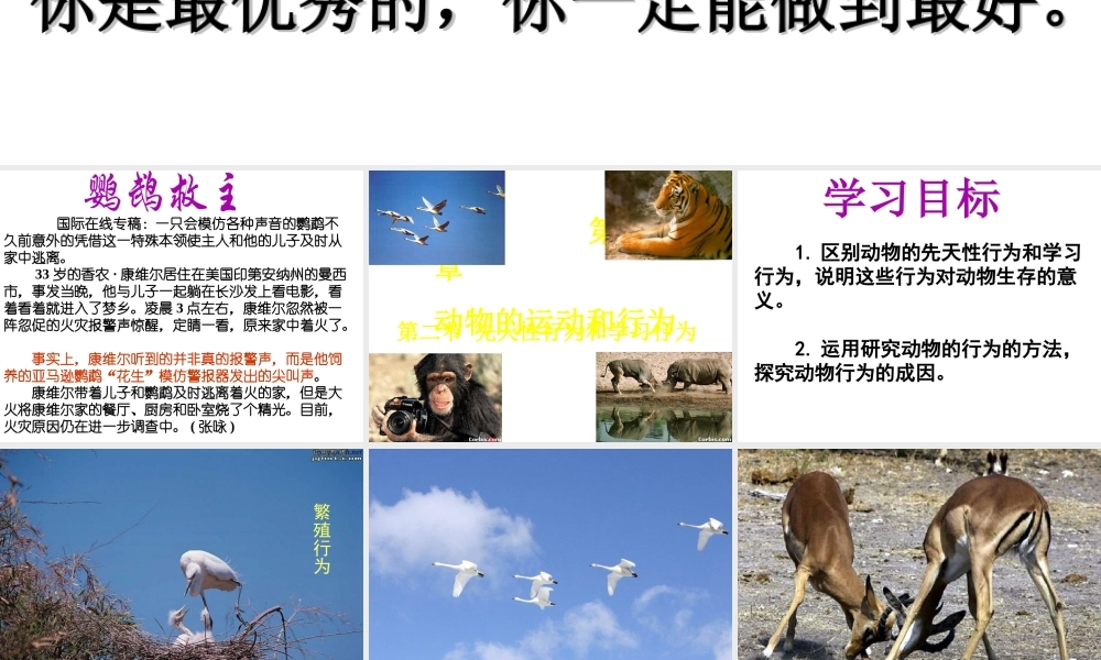 八年级生物上册 第二节 动物的先天性行为和学习行为课件 人教新课标版