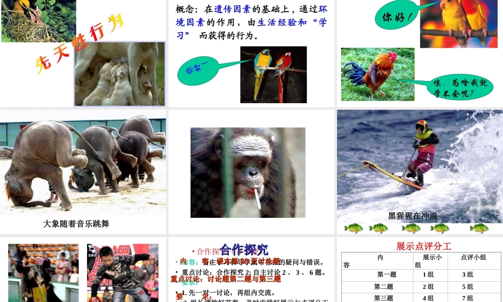 八年级生物上册 第二节 动物的先天性行为和学习行为课件 人教新课标版