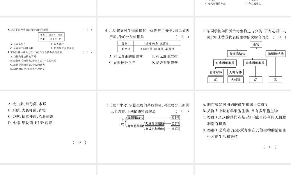 八年级生物上册 第6单元 第1章 第1节 尝试对生物进行分类（第2课时 动物的分类）练习课件 （新版）新人教版-（新版）新人教版初中八年级上册生物课件