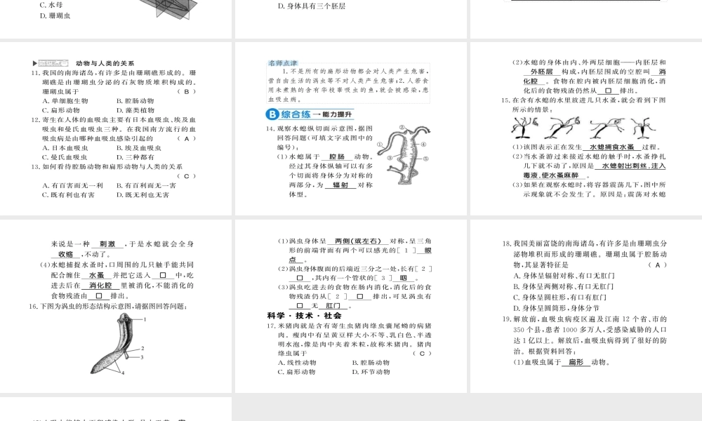 八年级生物上册 第五单元 第1章 第1节 腔肠动物和扁形动物习题课件 （新版）新人教版-（新版）新人教级上册生物课件