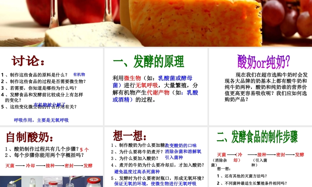 八年级生物上册 第五单元 第三章 第一节 发酵食品的制作课件 冀少版-人教级上册生物课件