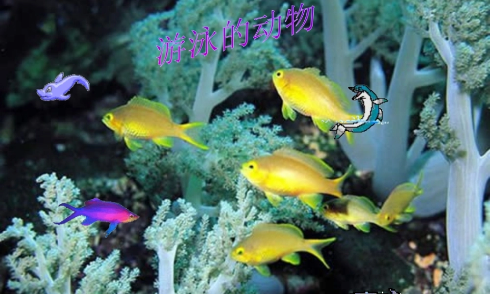 八年级生物上册 第二节 动物的运动依赖于一定的结构课件 苏教版