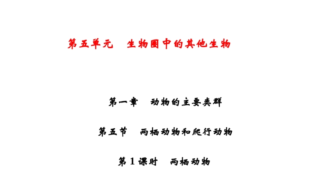 八年级生物上册 第5单元 第1章 第5节 两栖动物和爬行动物（第1课时 两栖动物）习题课件 （新版）新人教版-（新版）新人教版初中八年级上册生物课件