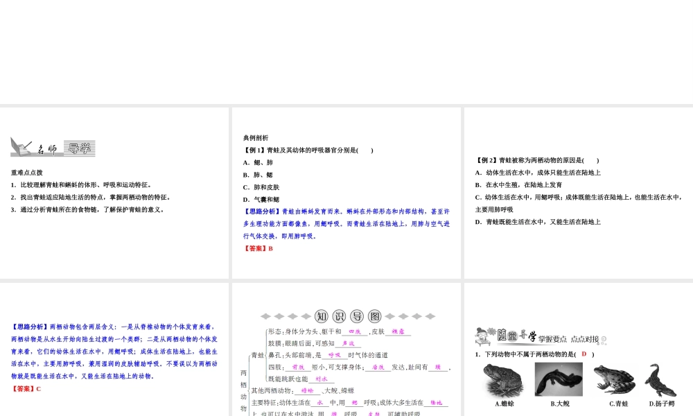 八年级生物上册 第5单元 第1章 第5节 两栖动物和爬行动物（第1课时 两栖动物）习题课件 （新版）新人教版-（新版）新人教版初中八年级上册生物课件