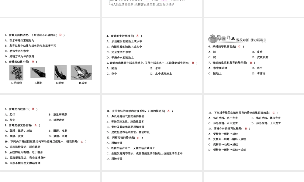 八年级生物上册 第5单元 第1章 第5节 两栖动物和爬行动物（第1课时 两栖动物）习题课件 （新版）新人教版-（新版）新人教版初中八年级上册生物课件
