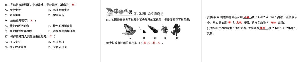 八年级生物上册 第5单元 第1章 第5节 两栖动物和爬行动物（第1课时 两栖动物）习题课件 （新版）新人教版-（新版）新人教版初中八年级上册生物课件