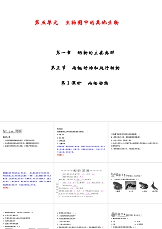 八年级生物上册 第5单元 第1章 第5节 两栖动物和爬行动物（第1课时 两栖动物）习题课件 （新版）新人教版-（新版）新人教版初中八年级上册生物课件