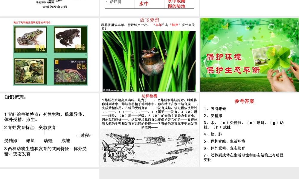 八年级生物上册 第二节 两栖动物的生殖和发育课件 济南版