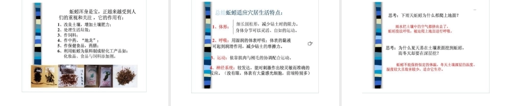 八年级生物上册 第二节 陆地生活的动物 蚯蚓课件 人教新课标版
