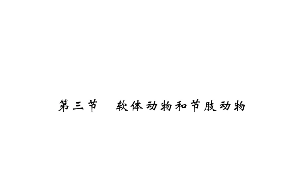 八年级生物上册 第五单元 第1章 第3节 软体动物和节肢动物习题课件 （新版）新人教版-（新版）新人教级上册生物课件