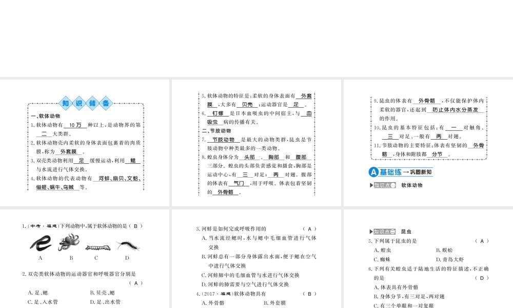 八年级生物上册 第五单元 第1章 第3节 软体动物和节肢动物习题课件 （新版）新人教版-（新版）新人教级上册生物课件