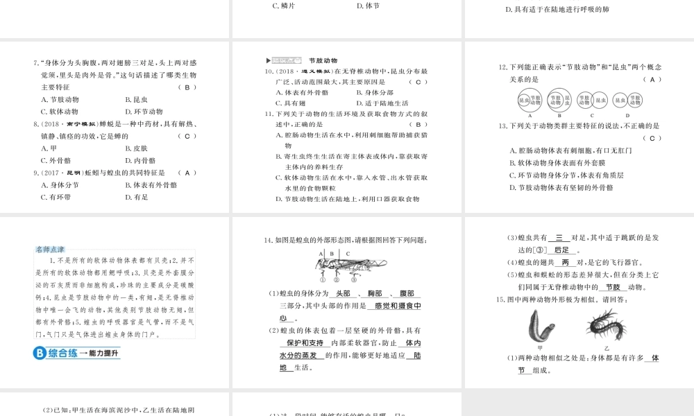 八年级生物上册 第五单元 第1章 第3节 软体动物和节肢动物习题课件 （新版）新人教版-（新版）新人教级上册生物课件