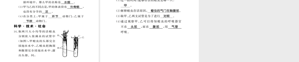 八年级生物上册 第五单元 第1章 第3节 软体动物和节肢动物习题课件 （新版）新人教版-（新版）新人教级上册生物课件