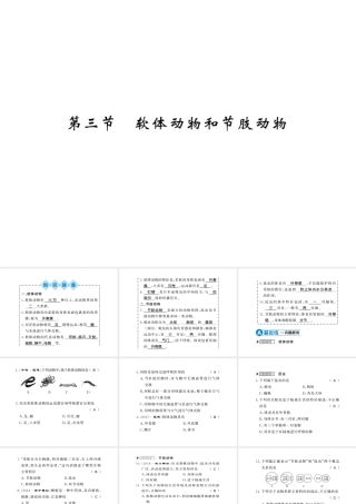 八年级生物上册 第五单元 第1章 第3节 软体动物和节肢动物习题课件 （新版）新人教版-（新版）新人教级上册生物课件