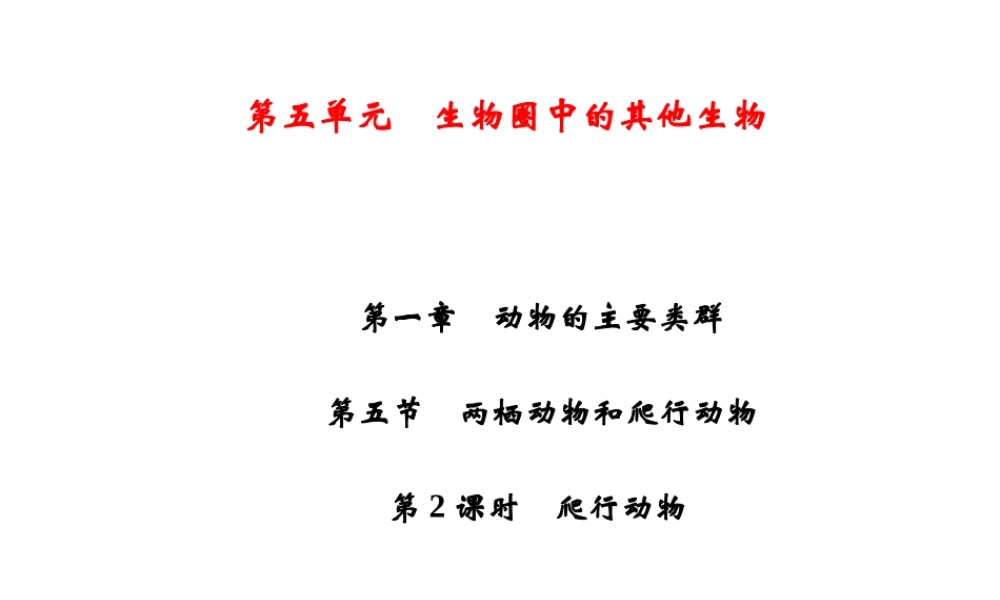 八年级生物上册 第5单元 第1章 第5节 两栖动物和爬行动物（第2课时 爬行动物）习题课件 （新版）新人教版-（新版）新人教版初中八年级上册生物课件