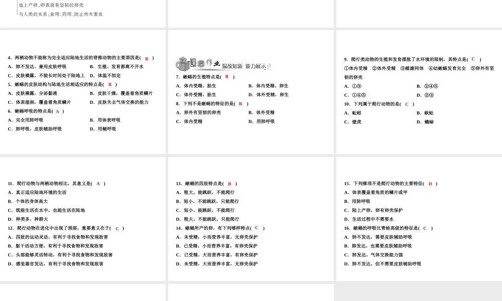 八年级生物上册 第5单元 第1章 第5节 两栖动物和爬行动物（第2课时 爬行动物）习题课件 （新版）新人教版-（新版）新人教版初中八年级上册生物课件