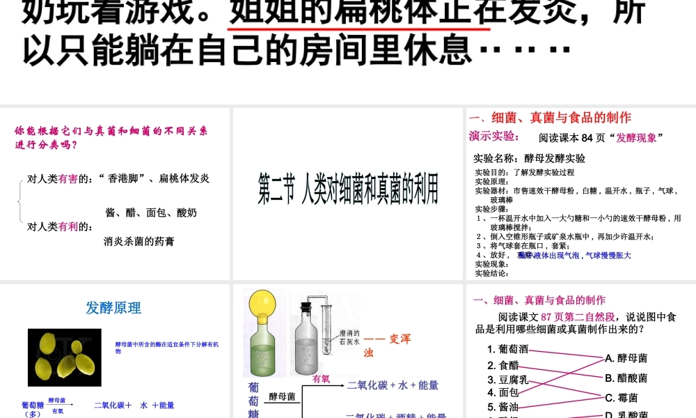 八年级生物上册 第二节 人类对细菌和真菌的利用课件 新人教版