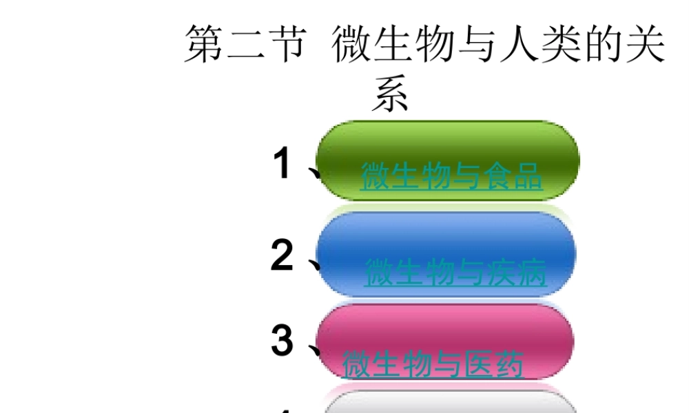 八年级生物上册 第二节 微生物与人类的关系课件 北师大版