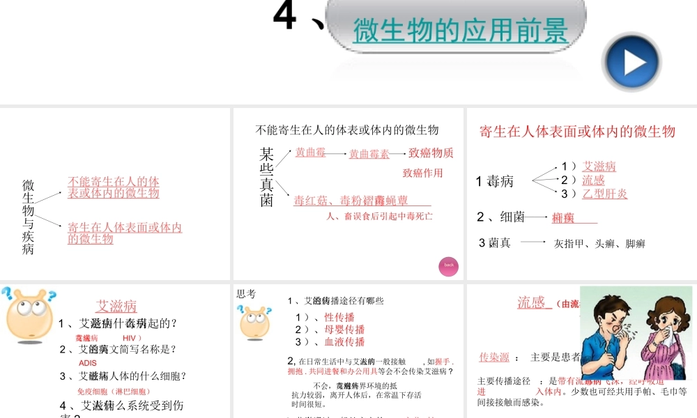 八年级生物上册 第二节 微生物与人类的关系课件 北师大版