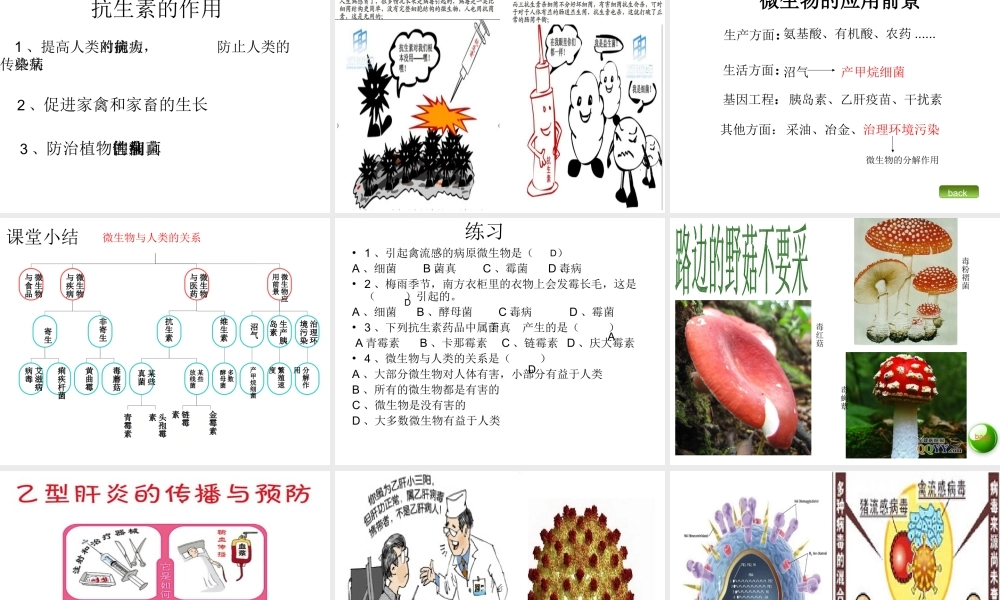 八年级生物上册 第二节 微生物与人类的关系课件 北师大版