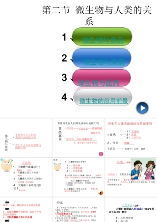 八年级生物上册 第二节 微生物与人类的关系课件 北师大版