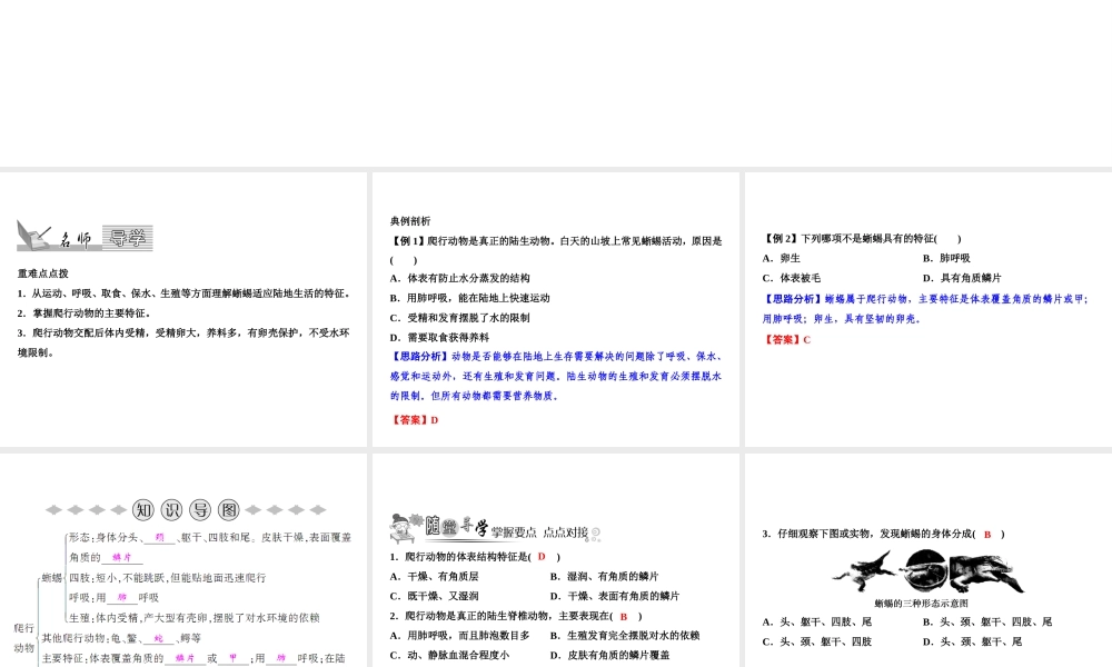 八年级生物上册 第5单元 第1章 第5节 两栖动物和爬行动物（第2课时 爬行动物）习题课件 （新版）新人教版-（新版）新人教级上册生物课件