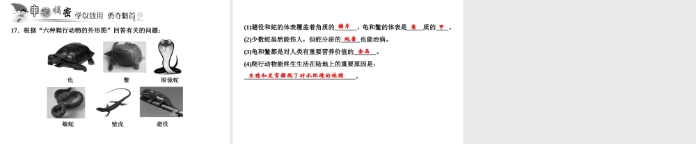 八年级生物上册 第5单元 第1章 第5节 两栖动物和爬行动物（第2课时 爬行动物）习题课件 （新版）新人教版-（新版）新人教级上册生物课件