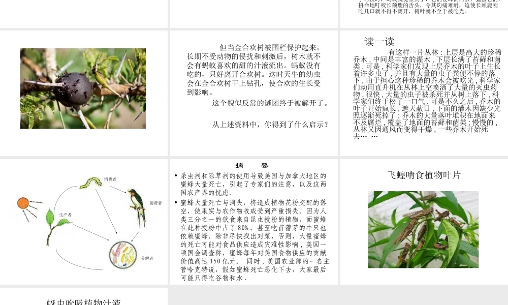 八年级生物上册 第五单元 第三章 动物在生物圈中的作用课件 （新版）新人教版