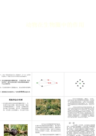 八年级生物上册 第五单元 第三章 动物在生物圈中的作用课件 （新版）新人教版