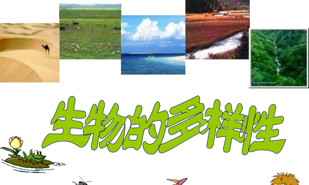 八年级生物上册 第6单元 第2章 认识生物的多样性课件 新人教版