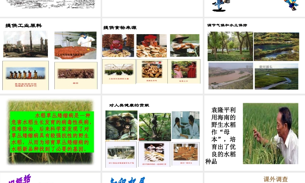 八年级生物上册 第6单元 第2章 认识生物的多样性课件 新人教版