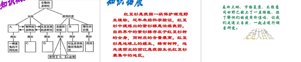 八年级生物上册 第6单元 第2章 认识生物的多样性课件 新人教版