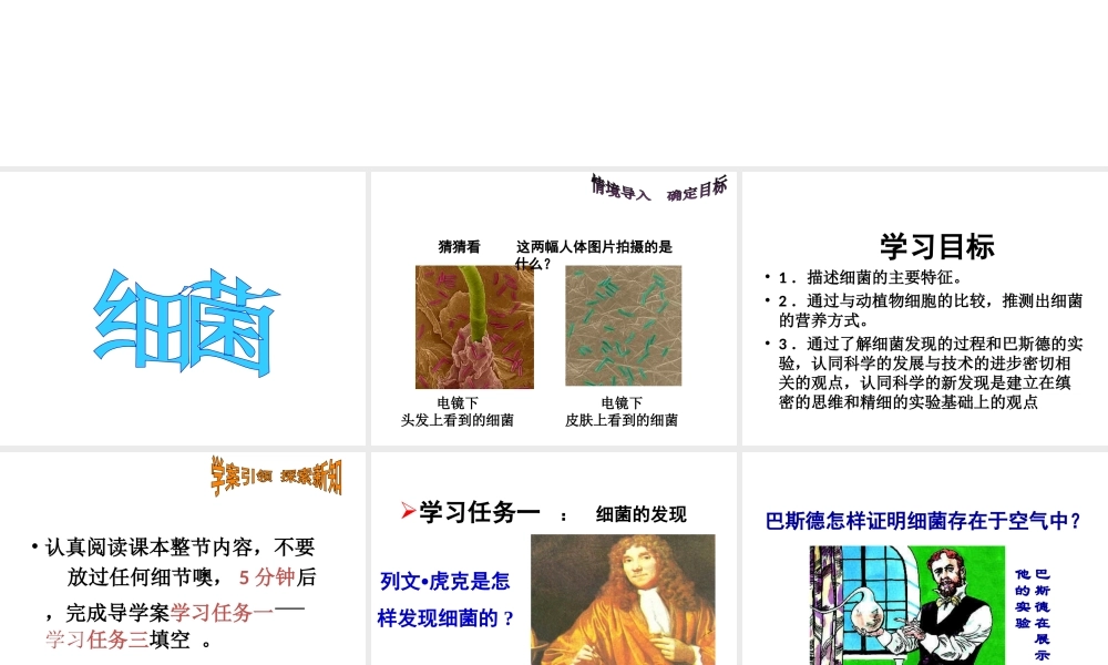 八年级生物上册 第二节 细菌课件 新人教版