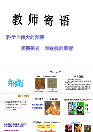 八年级生物上册 第二节 细菌课件 新人教版