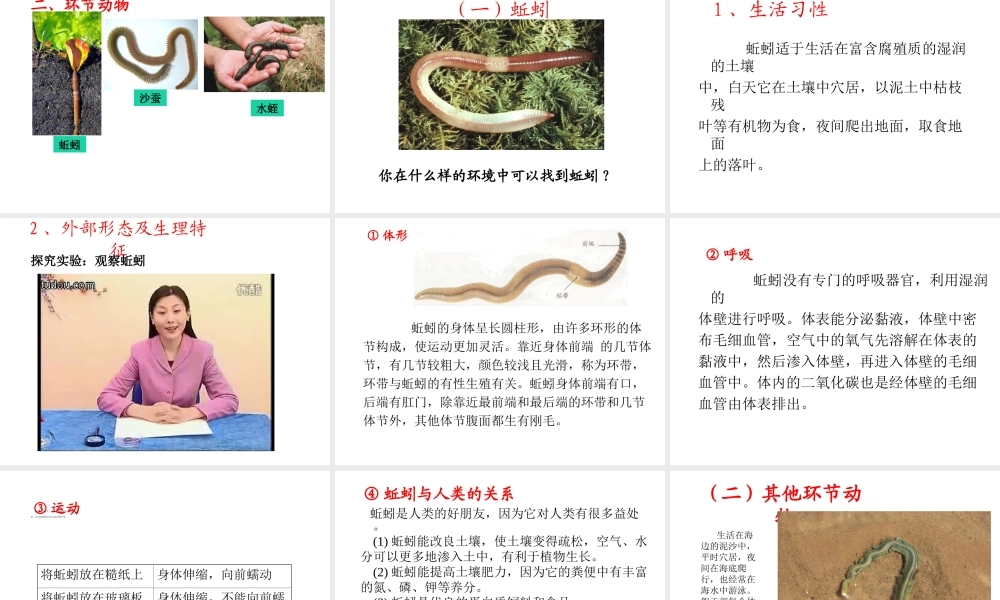 八年级生物上册 第二节 线形动物和环节动物课件 （新版）新人教版
