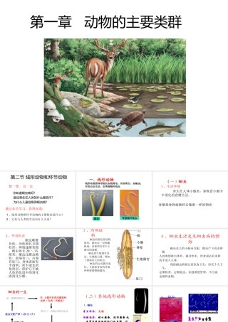 八年级生物上册 第二节 线形动物和环节动物课件 （新版）新人教版