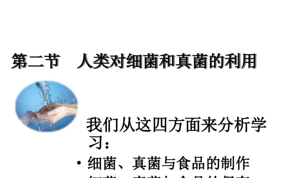 八年级生物上册 第二节《 人类对细菌和真菌的利用》课件1 人教新课标版