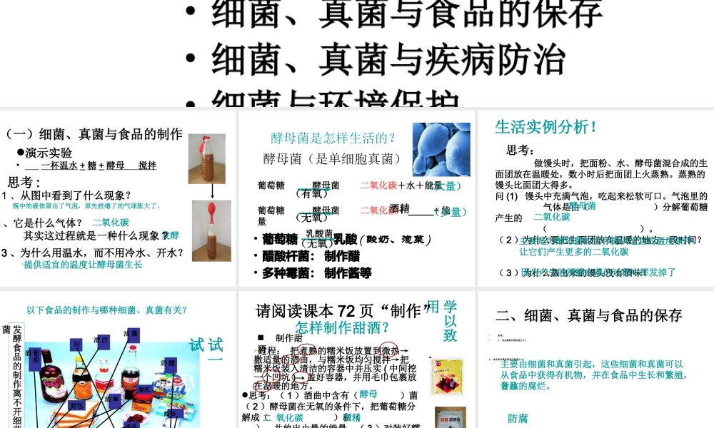 八年级生物上册 第二节《 人类对细菌和真菌的利用》课件1 人教新课标版