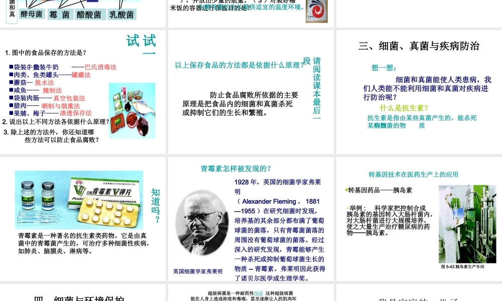 八年级生物上册 第二节《 人类对细菌和真菌的利用》课件1 人教新课标版