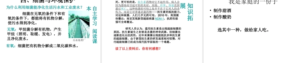 八年级生物上册 第二节《 人类对细菌和真菌的利用》课件1 人教新课标版