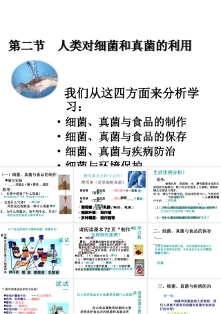 八年级生物上册 第二节《 人类对细菌和真菌的利用》课件1 人教新课标版