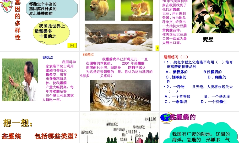 八年级生物上册 第6单元 第2章 认识生物的多样性课件3 新人教版