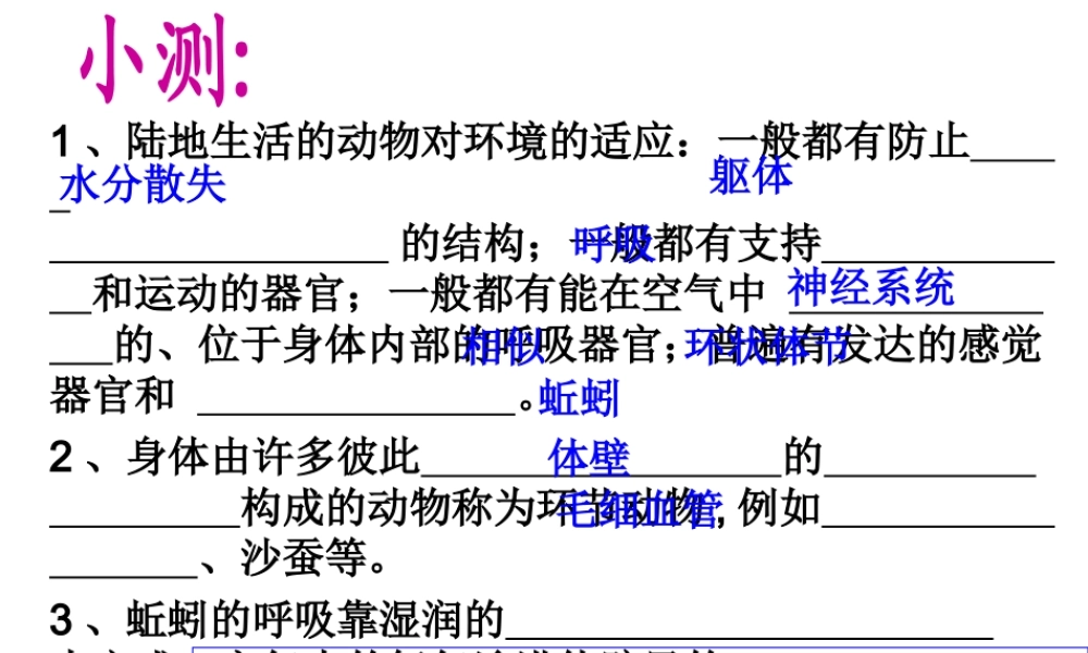 八年级生物上册 第二节陆地生活的动物(第2课时)课件 人教新课标版