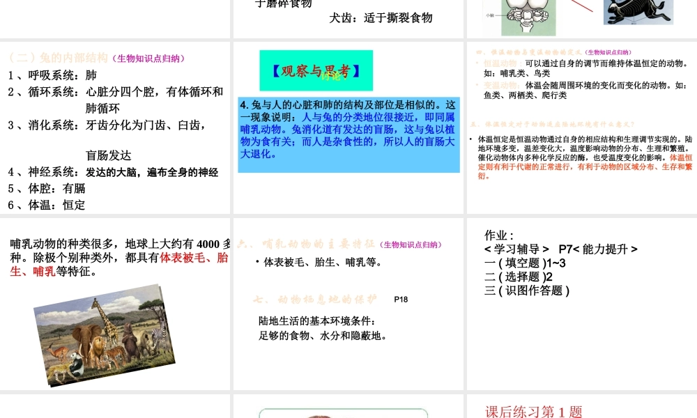 八年级生物上册 第二节陆地生活的动物(第2课时)课件 人教新课标版