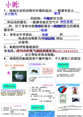 八年级生物上册 第二节陆地生活的动物(第2课时)课件 人教新课标版